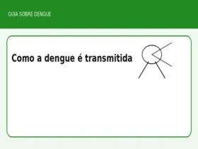 Como a dengue é transmitida
