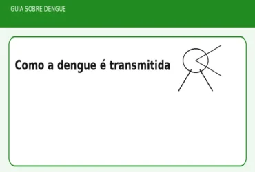 Como a dengue é transmitida