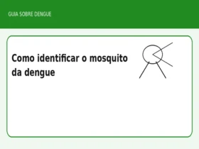 Como identificar o mosquito da dengue