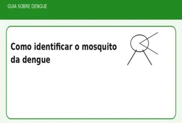 Como identificar o mosquito da dengue
