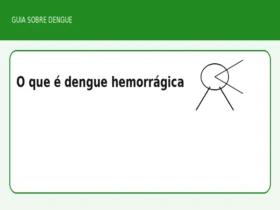 O que é dengue hemorrágica
